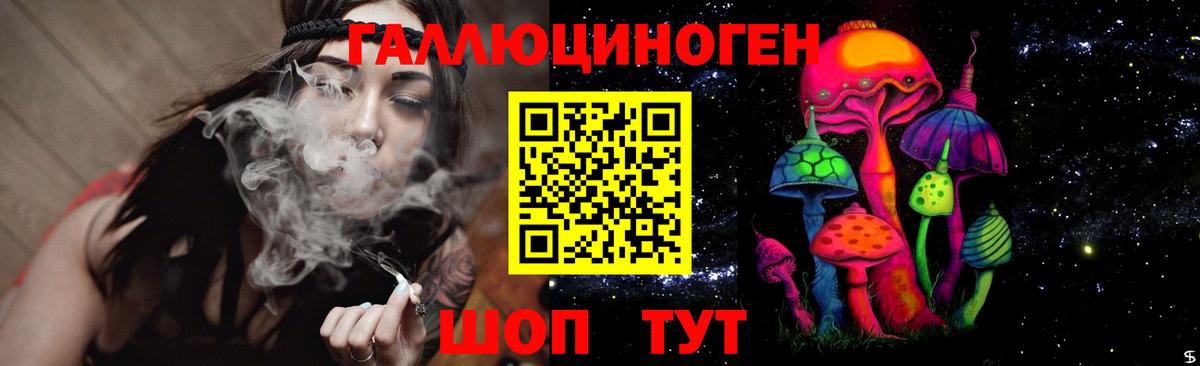 Псилоцибиновые грибы Psilocybine cubensis Мценск